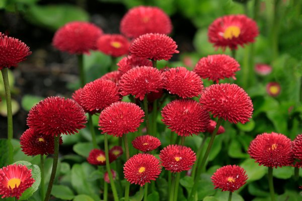 Isolations de qualité à petits prix : faites le bon choix !